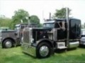 Peterbilt 359 Tribute