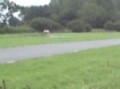 Peugeot 205 rally car, round sprint circuit