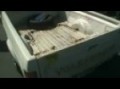 Piece of GTI-cake: broke.down