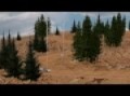Pikes Peak Challenge - Fun Race