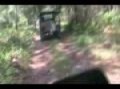 Pinz Trailride