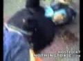 Poor Man Lies on the Ground Alive But Completely Mangled