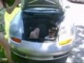 Porsche three seater