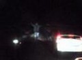 Prius Street Race