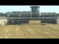 Produce_2.mpg