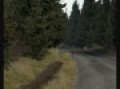 RBR EURO RALLY CUP IV - Richard Burns Memorial - Mistakes