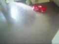 RC CarPeugeot 307 WRC