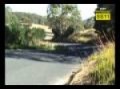 Rally Tasmania 2009 SS9-11 ARC