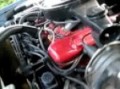 Rattling 455_2