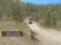 Richard Burns Rally Challenge Winner (Sim.)