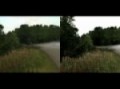 Richard Burns Rally - RSRBR 2011 demo