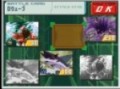 Ryuusei no Rockman 3 : Wolf Forest R