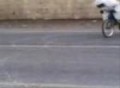 SUZUKY 1100 ZERANDO, HAYABUSA SRAD