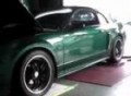 Steeda Dyno Day - Dec 2007 - 2