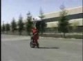 Stunt haciendo vertical wheelie