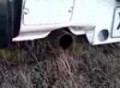 Subaru Brumby Exhaust