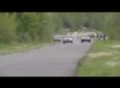 Subaru Forester - 400m vc ...