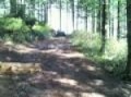 Subaru GL 4WD in Capitol Forest