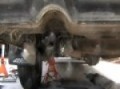 Subaru Loyale Straight Pipe