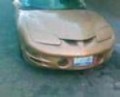 TRANS AM 98 LUIS