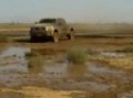 TUNDRA IN MUD