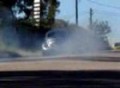 Team Pastizzi Veewrx