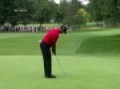 Tiger Claims Buick Open Crown