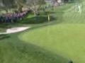 Tiger Woods Buick Invitational