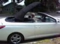 Top Down