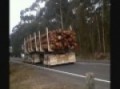 Truck Count Eden Chipmill 2010.wmv