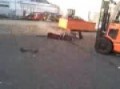 Video002