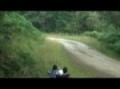 Woodpecker Rally 2010 Car 201