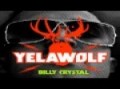 Yelawolf - Hometown Hero (Billy Crystal Mixtape) + Lyrics