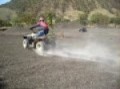 ave saltando en su cuatrimoto (atv 250)
