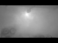 celica.burnout