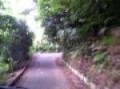 country road japan