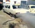 dodge burnout