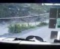 el chivo dandole por la brecha ayutla guerrero