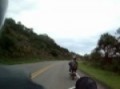 elton wilde rider.avi