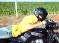 eu denovo