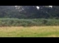 field car