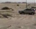 fortuner