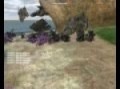 halo toyota add