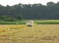 kei truck with load of rice