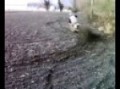 moi en moto cross au debut
