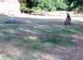moto bike