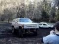 playing in the back yard
