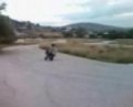 pocket bike 49cc