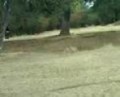 practicas de motos