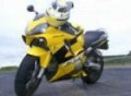 pug 205 and CBR 600